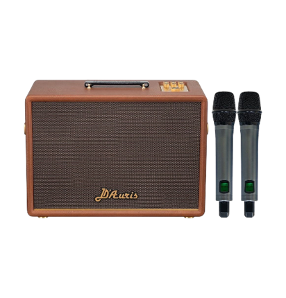 SONCAMEDIA D'Auris 300