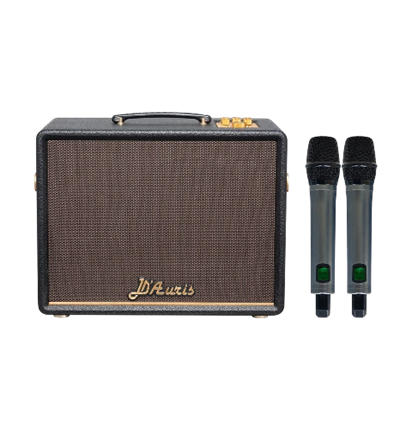 SONCAMEDIA D'Auris 200